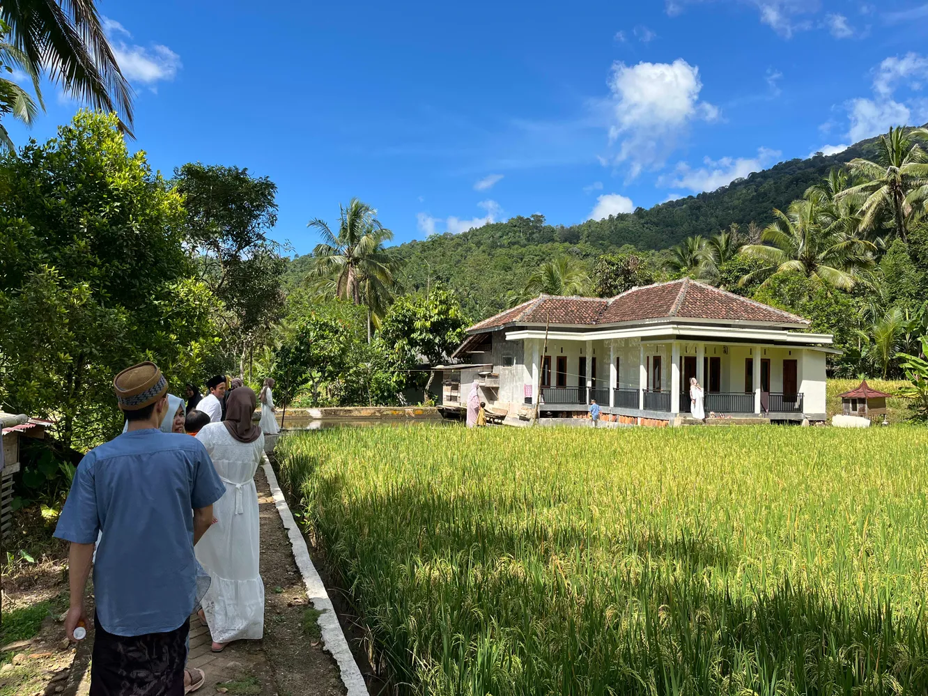 A landscape of my village, contains a house, ricefields, and a mountain behind it, on the left, my family is walking in line to go to our relatives' place.